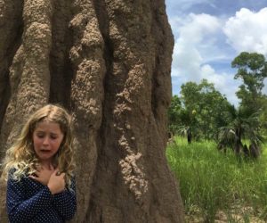 africa termite mound 1