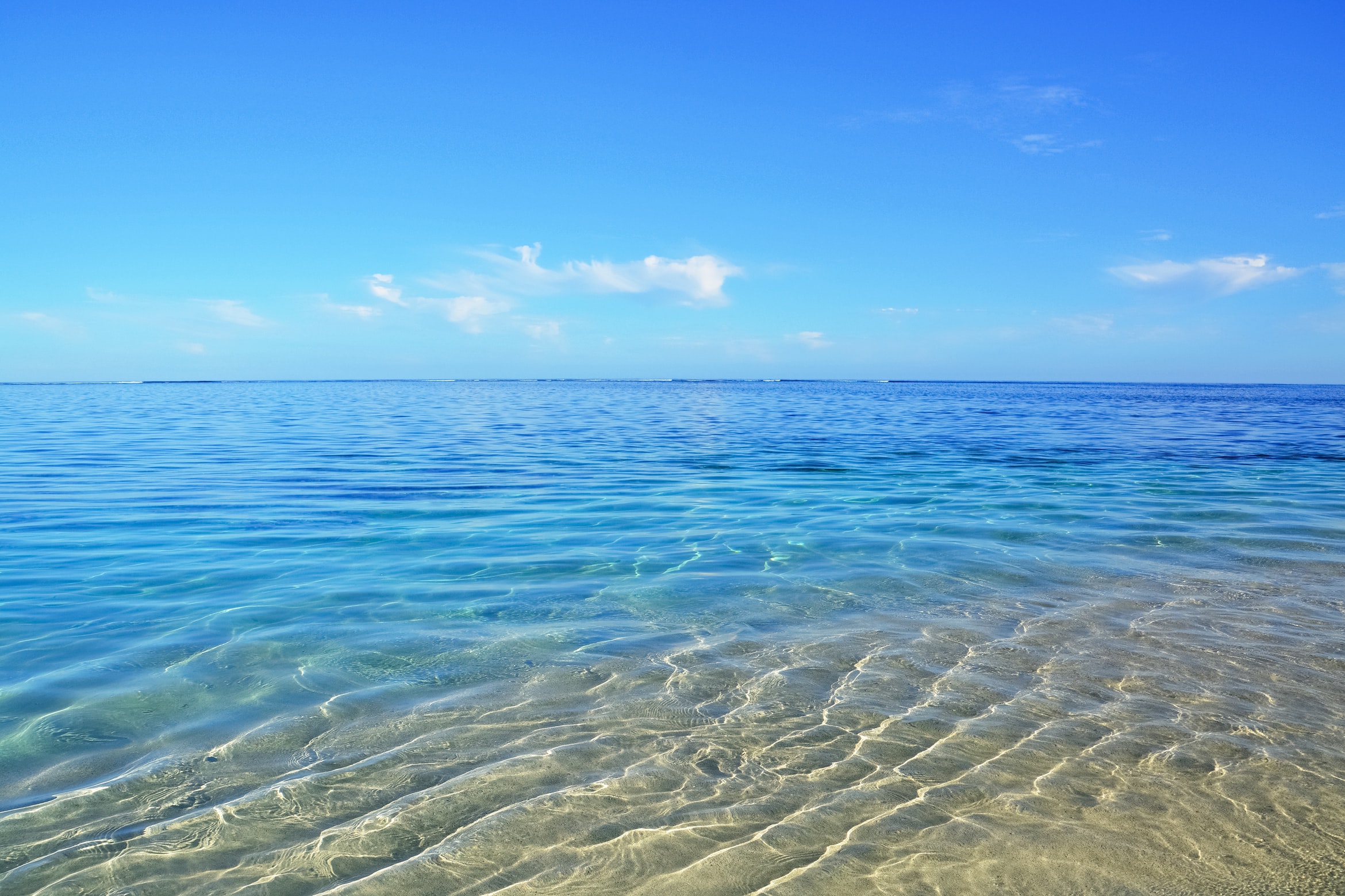 ningaloo reef1